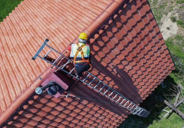 Best Roof Maintenance and Cleaning  in Oostburg, WI